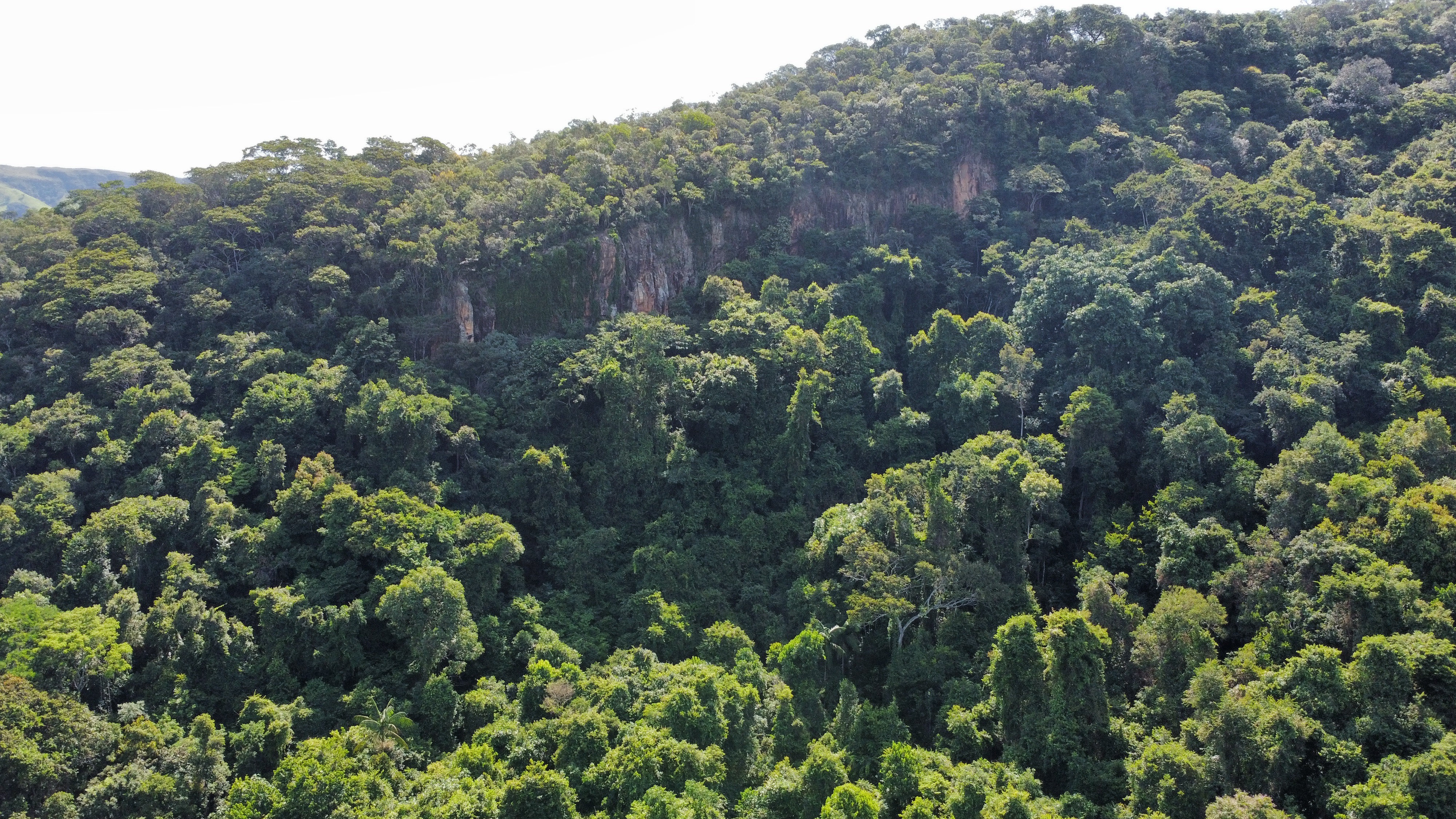 Sandstone cliffs and jungle